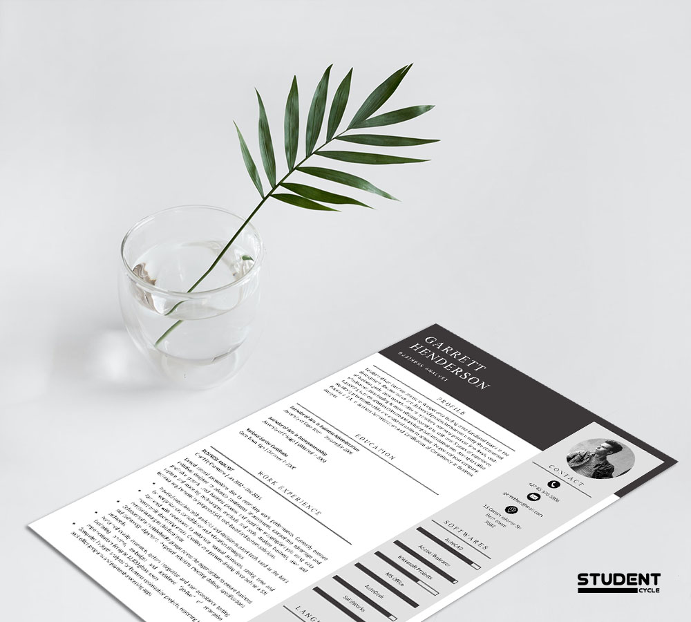 Analyst CV Design Preview 2 - Student Cycle