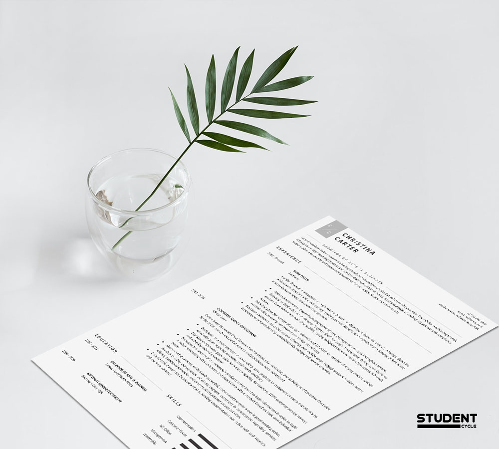 Bank Teller CV Design Preview 2 - Student Cycle