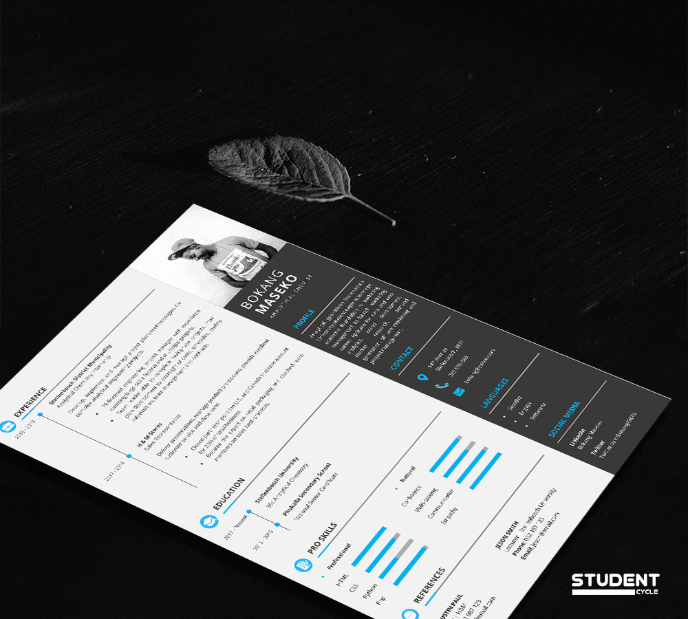 Analytical Chemist CV Design Preview 3 - Student Cycle